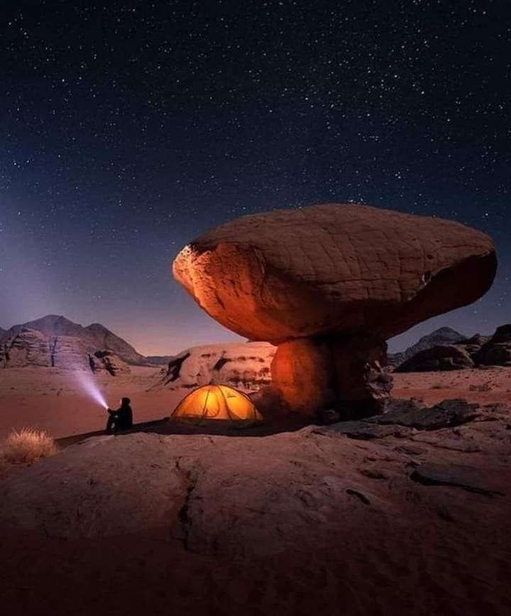 Wadi Rum Bubble Tent & Bedouin Style Eksteriør billede