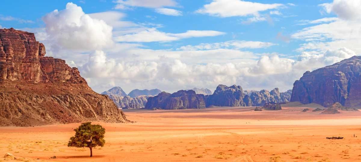 Wadi Rum Bubble Tent & Bedouin Style Eksteriør billede